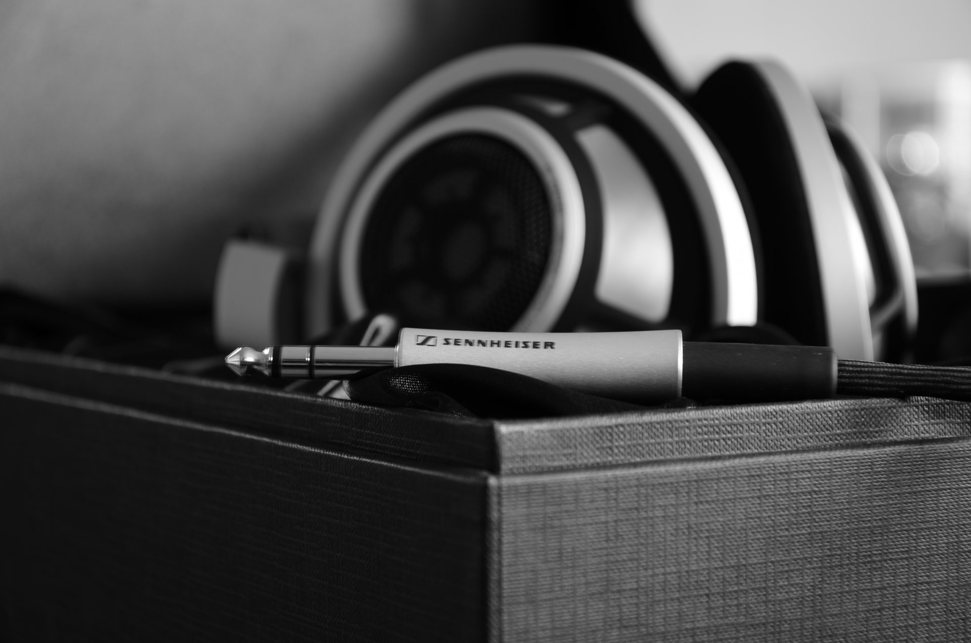 ennheser hd800 audio