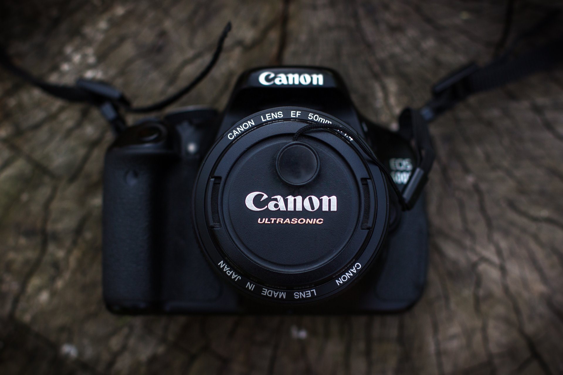 cámara canon madera lente