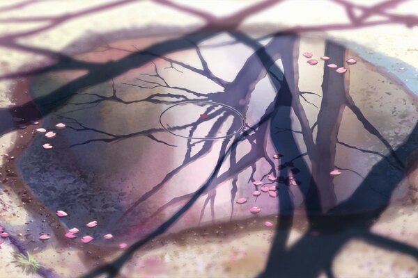 Makoto Shinkai, reflejo de Sakura