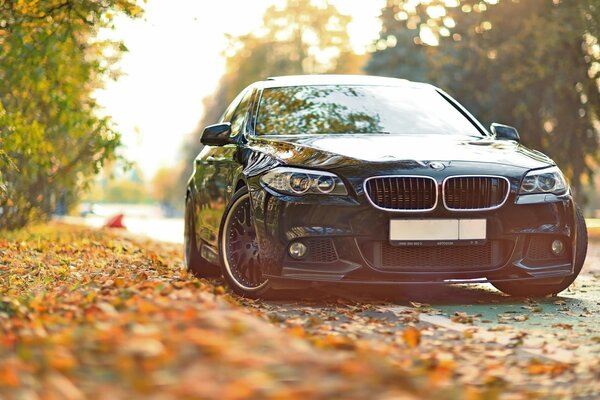 Un BMW elegante en la carretera de otoño