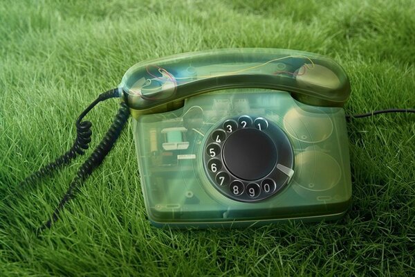Teléfono en un estuche transparente sobre hierba verde
