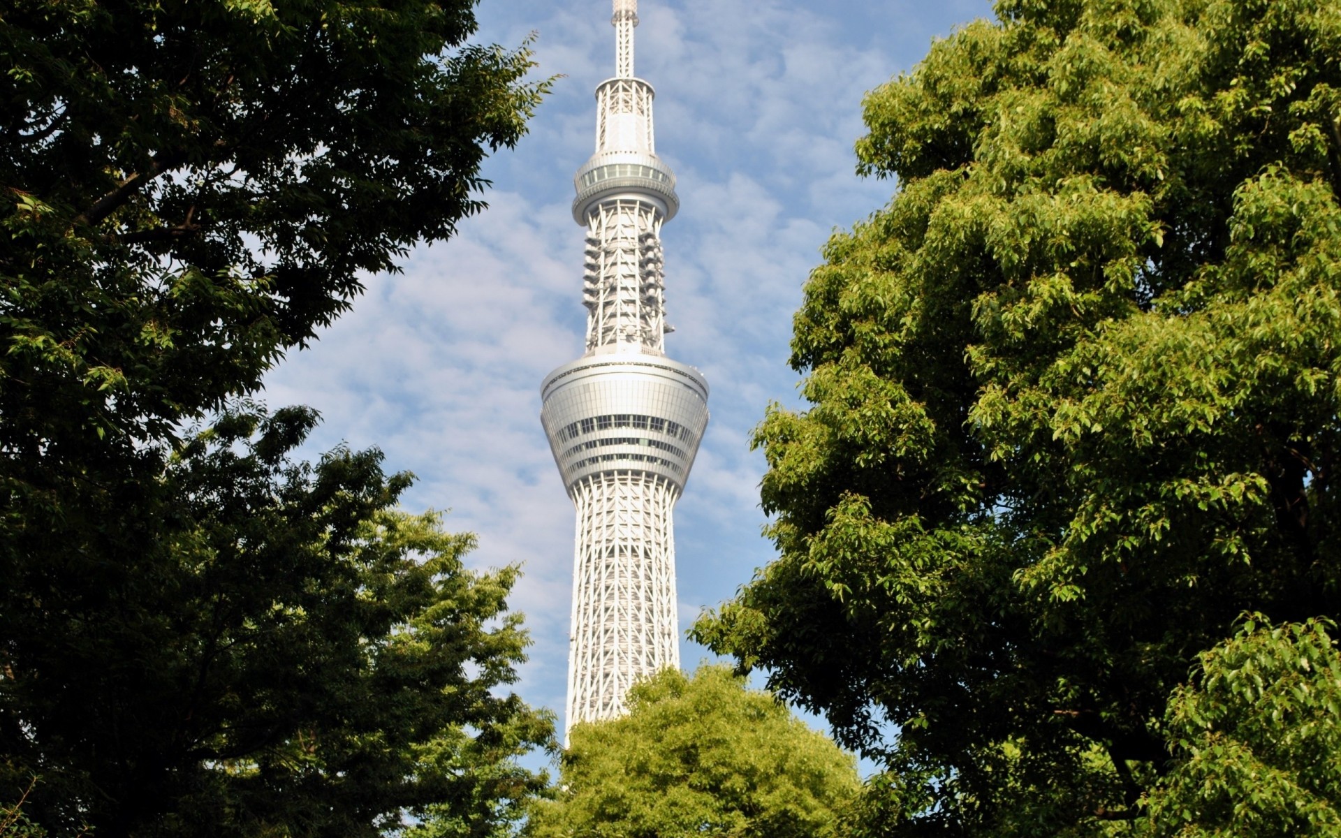 estación árboles tokio cielo japón torre