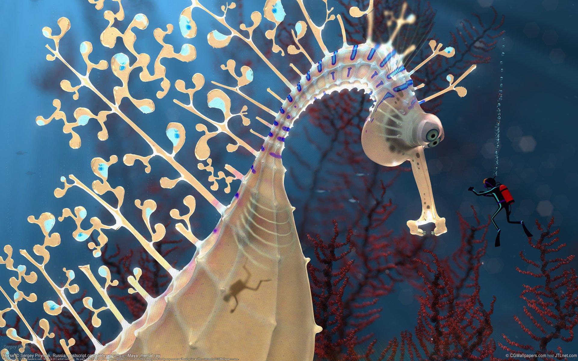 caballito de mar profundidad buceador aves acuáticas mundo submarino