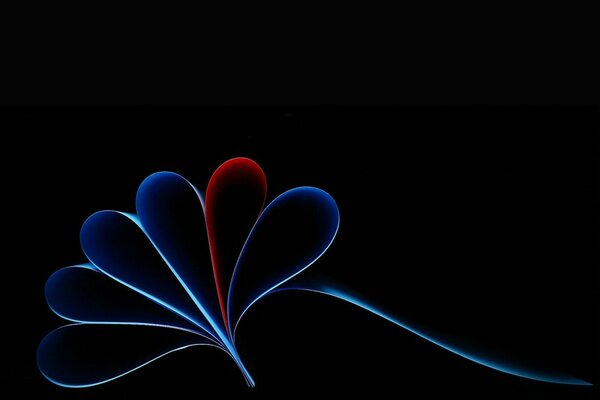 Contorno de pétalos azules sobre fondo negro