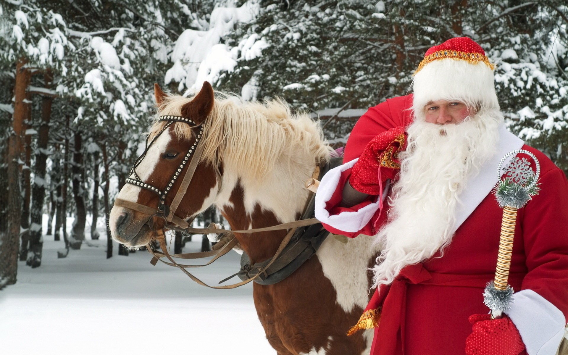 gran ustyug santa claus vacaciones invierno año nuevo caballo pegio