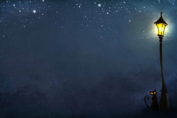 Un gato bajo una linterna ardiente en una noche estrellada