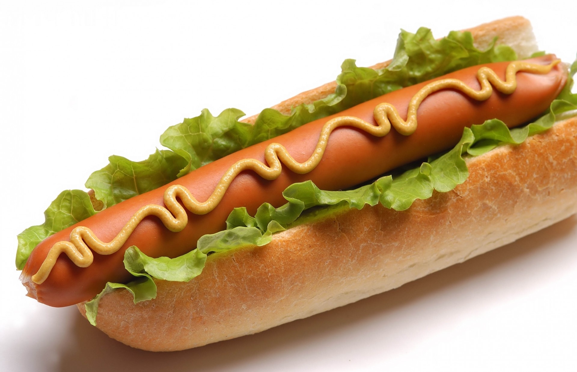 salchichas sándwich fondo blanco repollo mostaza