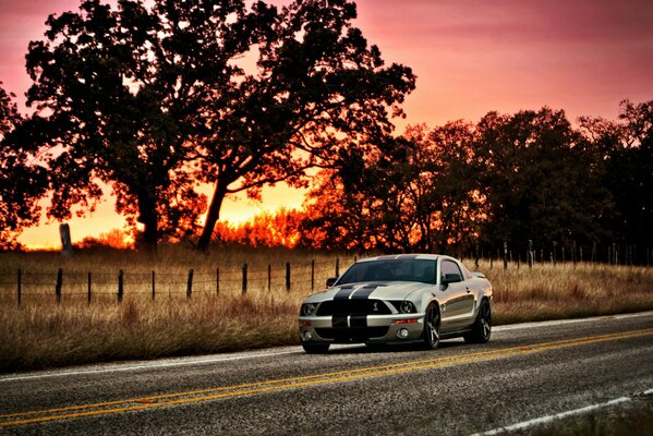 Un Ford Mustang plateado monta en la carretera en medio de la puesta de sol