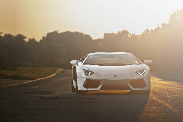 Lamborghini aventador lp700-4 blanco en la carretera al atardecer