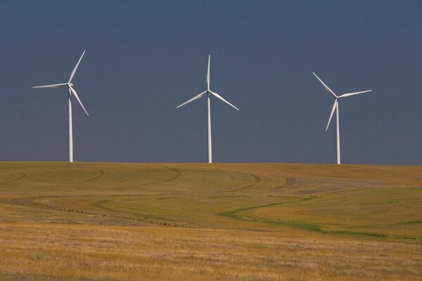 Tres molinos de viento en un campo de trigo