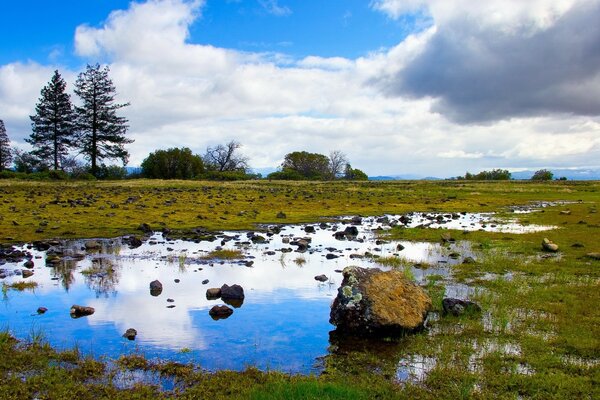 Charco en medio del campo y en la distancia de la montaña