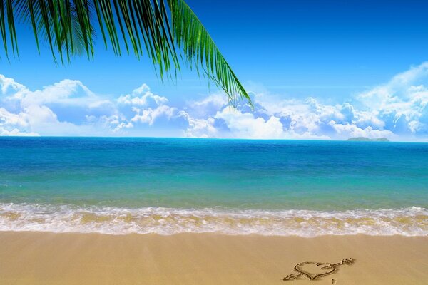 Foto de la playa con el mar y una ramita de palma