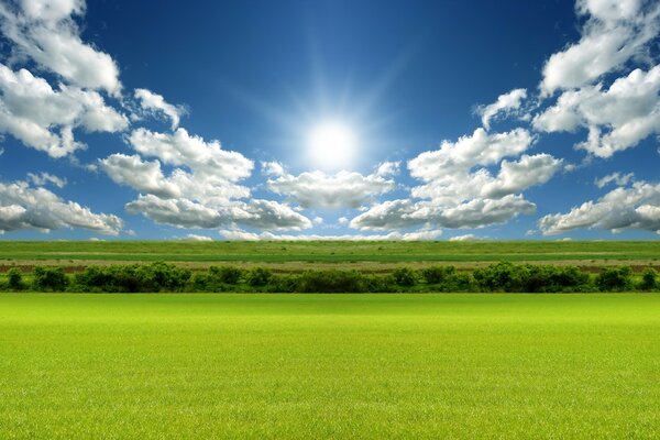 Sol nubes cielo hierba