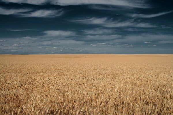 Nubes de tormenta sobre el campo de colosia