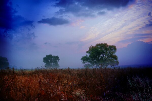 Noche de la naturaleza