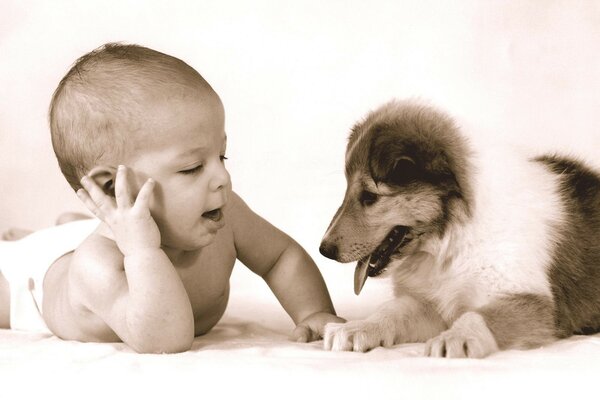 Babe charlar y jugar con perrito