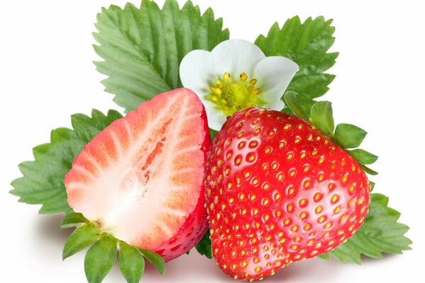 Fresas maduras sobre fondo blanco