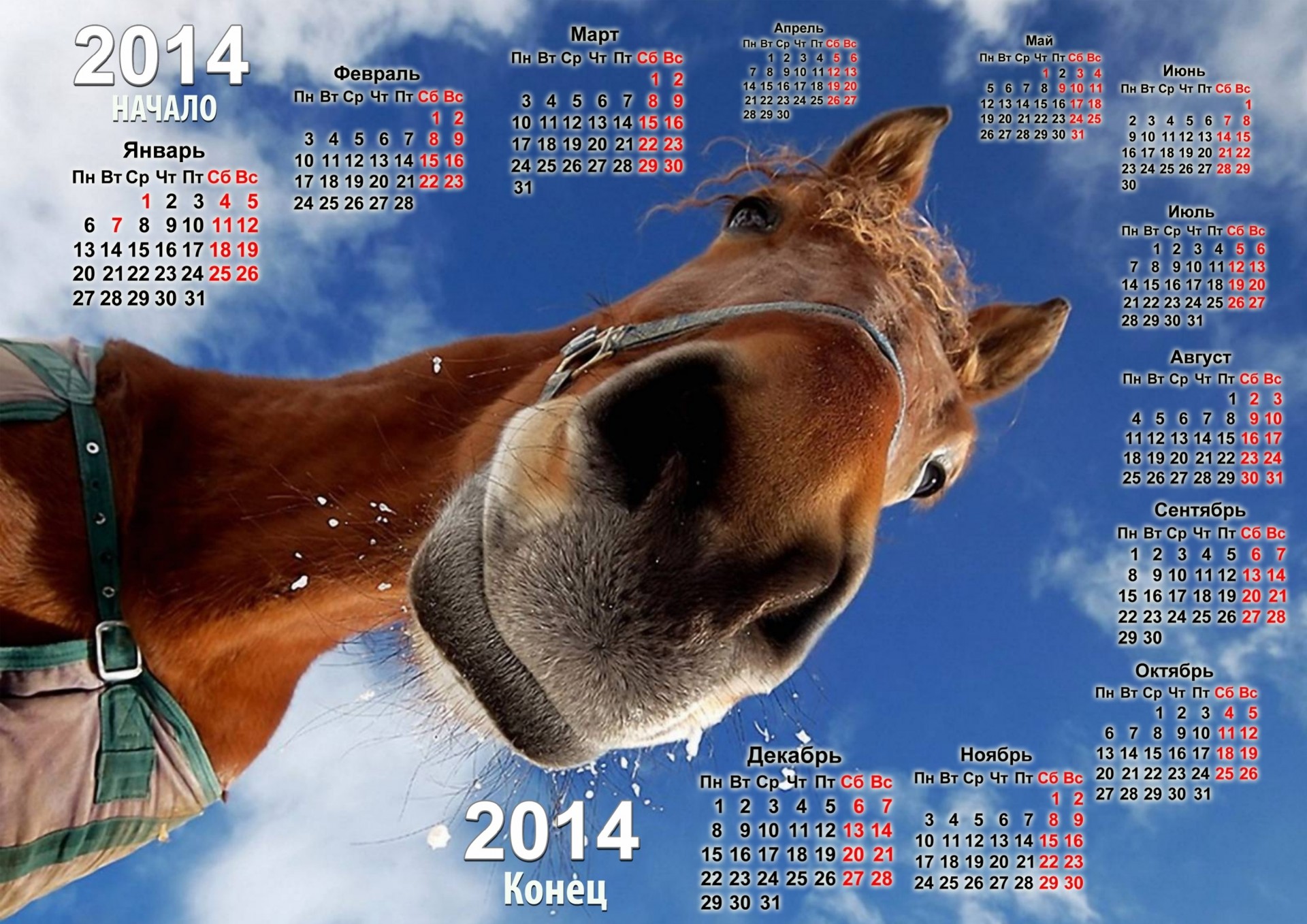 2014 año del caballo calendario