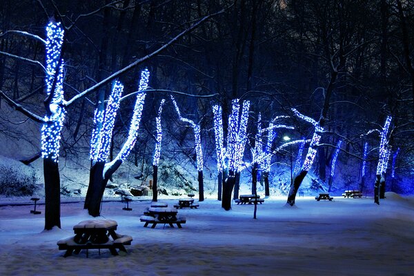 Árboles en el parque en decoraciones para el año nuevo