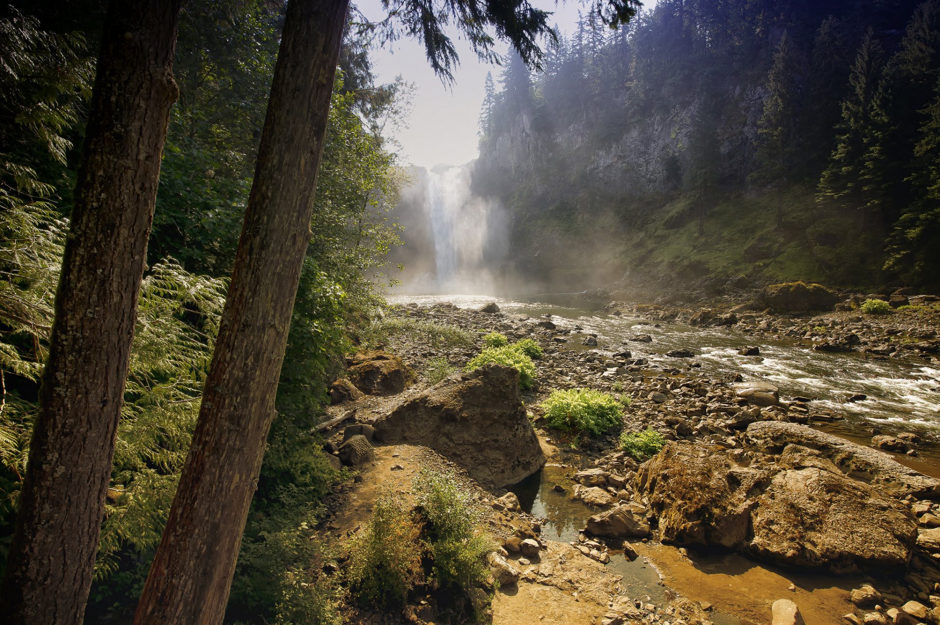 bosque río árboles piedras cascada