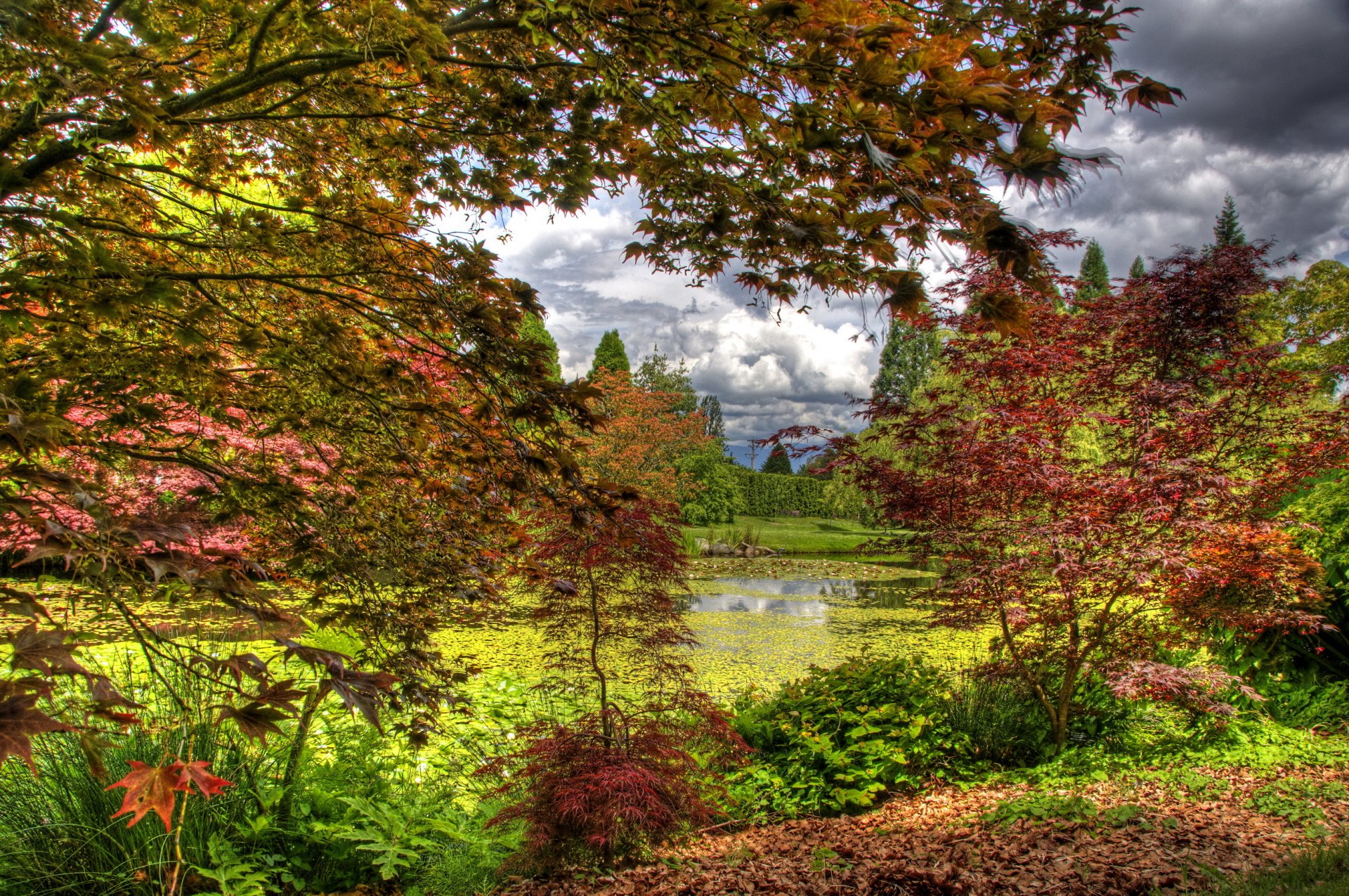 jardín botánico vandusen vancouver canadá jardín estanque árboles arbustos hojas otoño