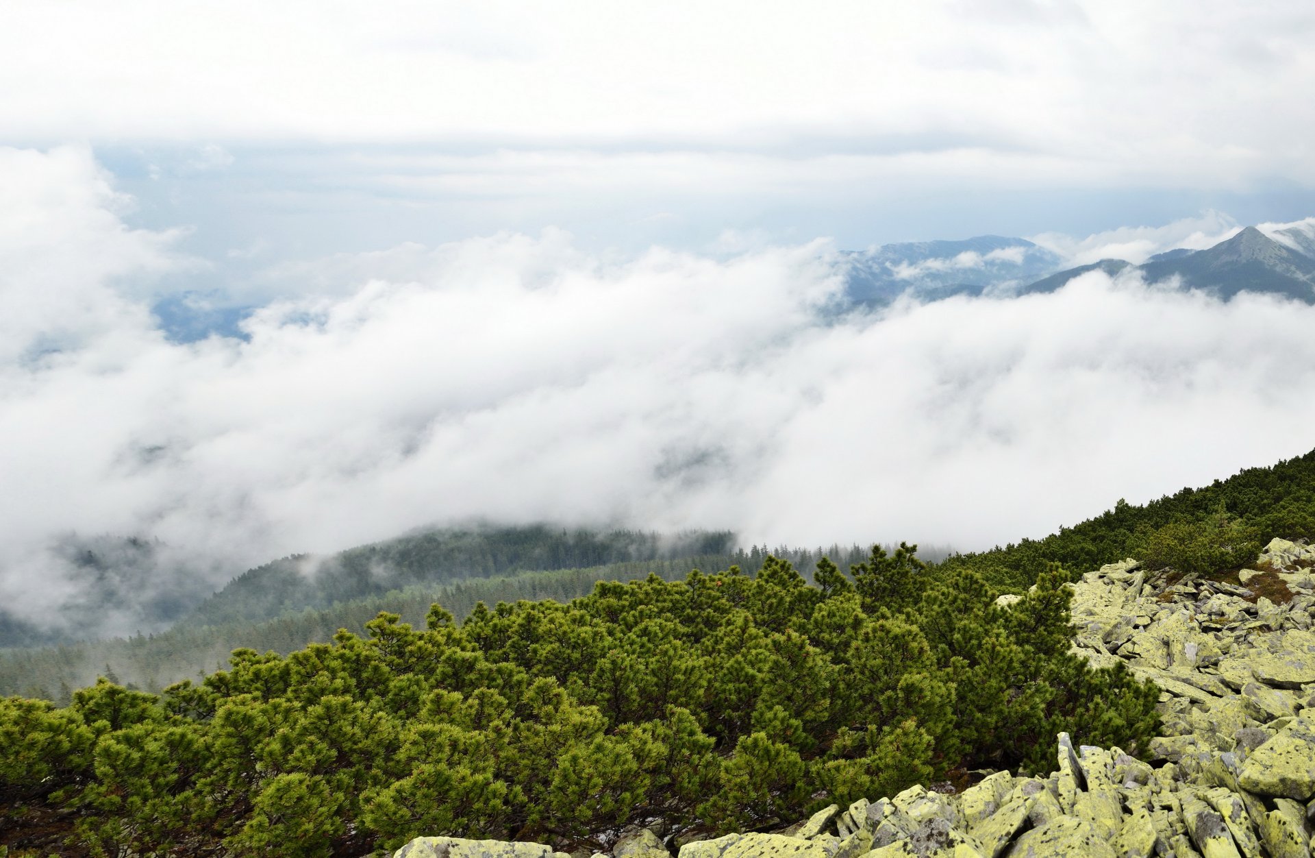 paisaje ucrania transcarpacia nubes montañas arbusto piedras naturaleza