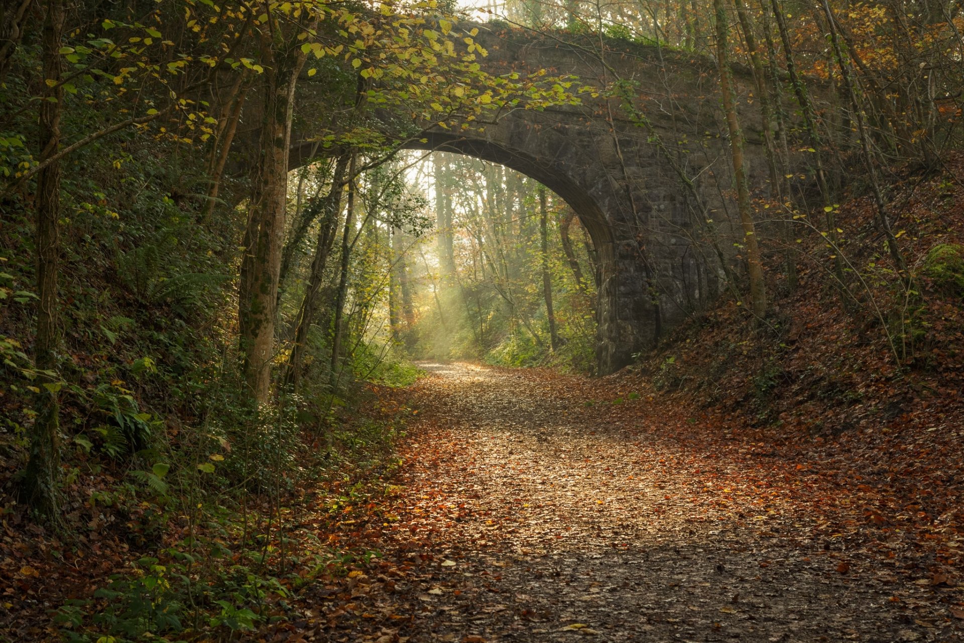 parque carretera arco puente ferroviario otoño