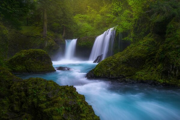 Cascada mágica entre el bosque en Colombia