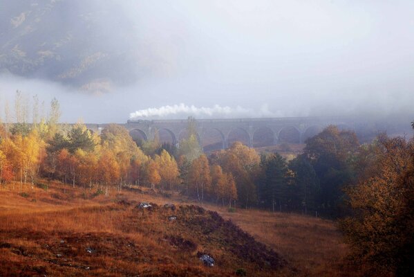 Puente en el bosque de otoño en la neblina