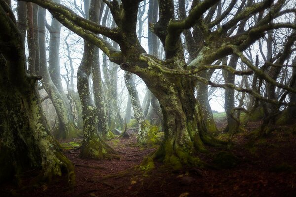 Paisaje fantástico en Francia