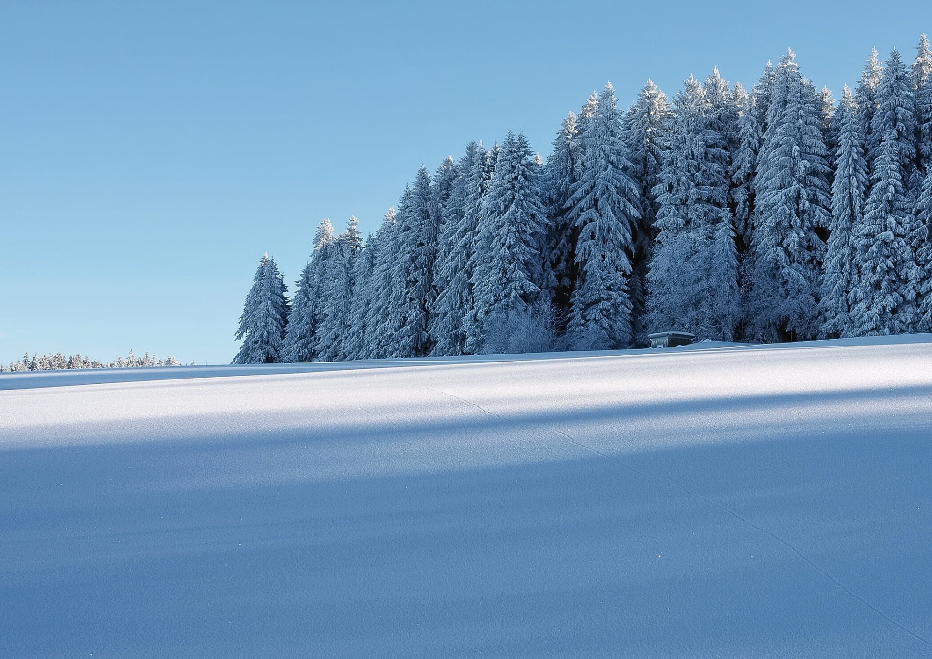 invierno nieve bosque casa escarcha