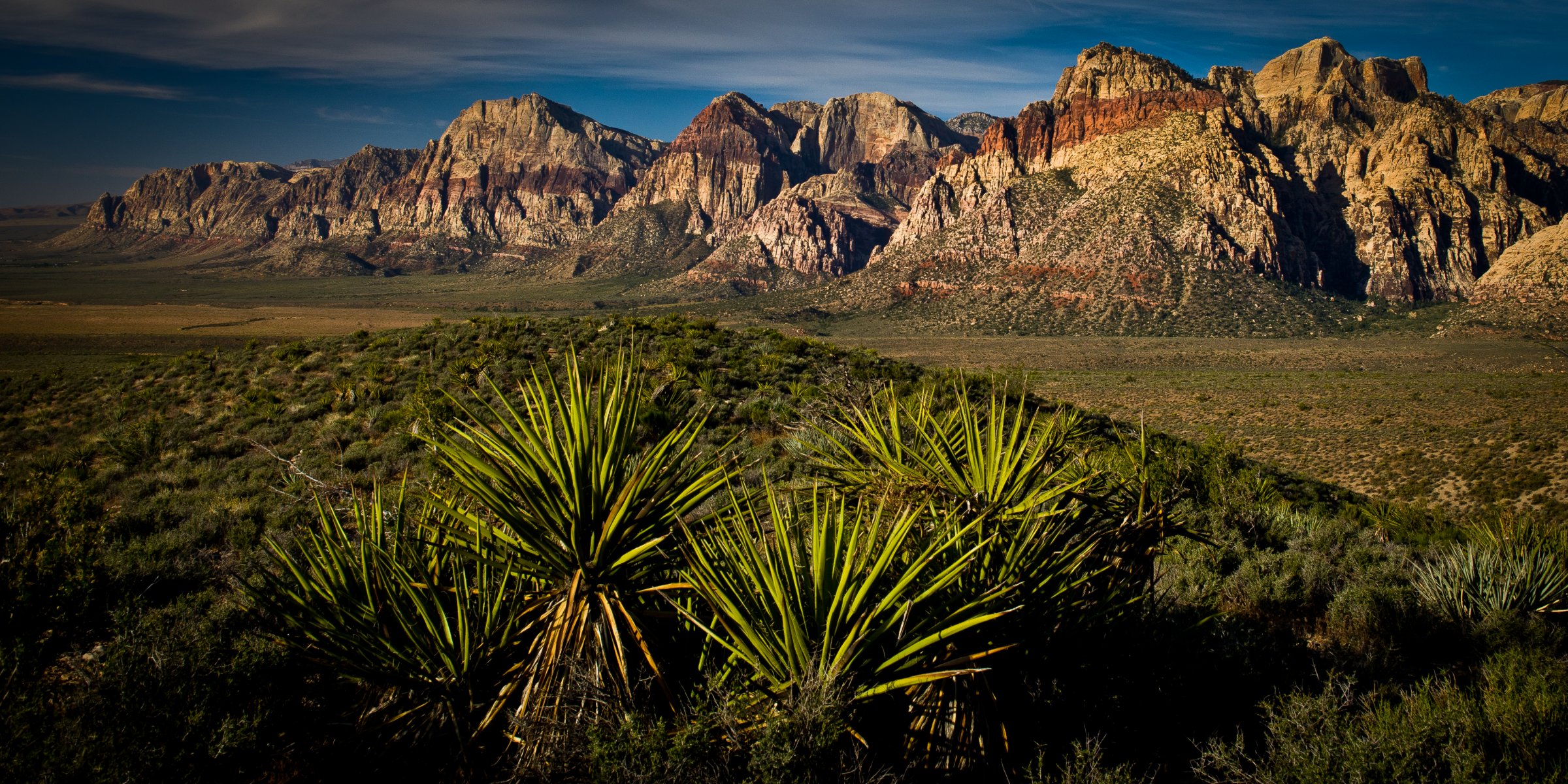 yucca desierto las vegas red rock canyon cañón