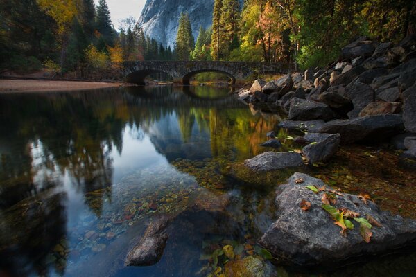 Naturaleza con un río en el bosque . Puente de otoño con árboles