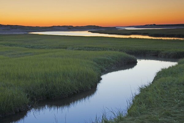 Río en medio de la vegetación. amanecer sobre el río