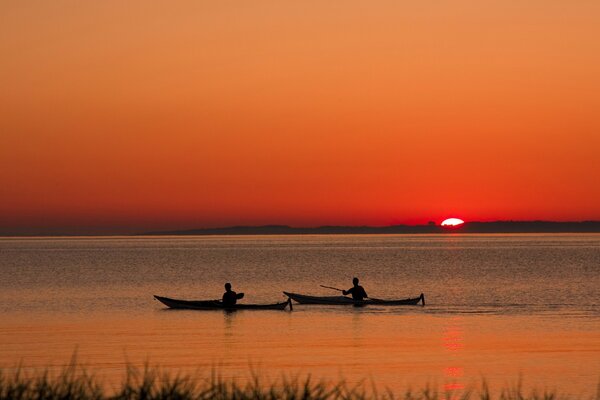 Barcos en el fondo de la puesta de sol, cañas