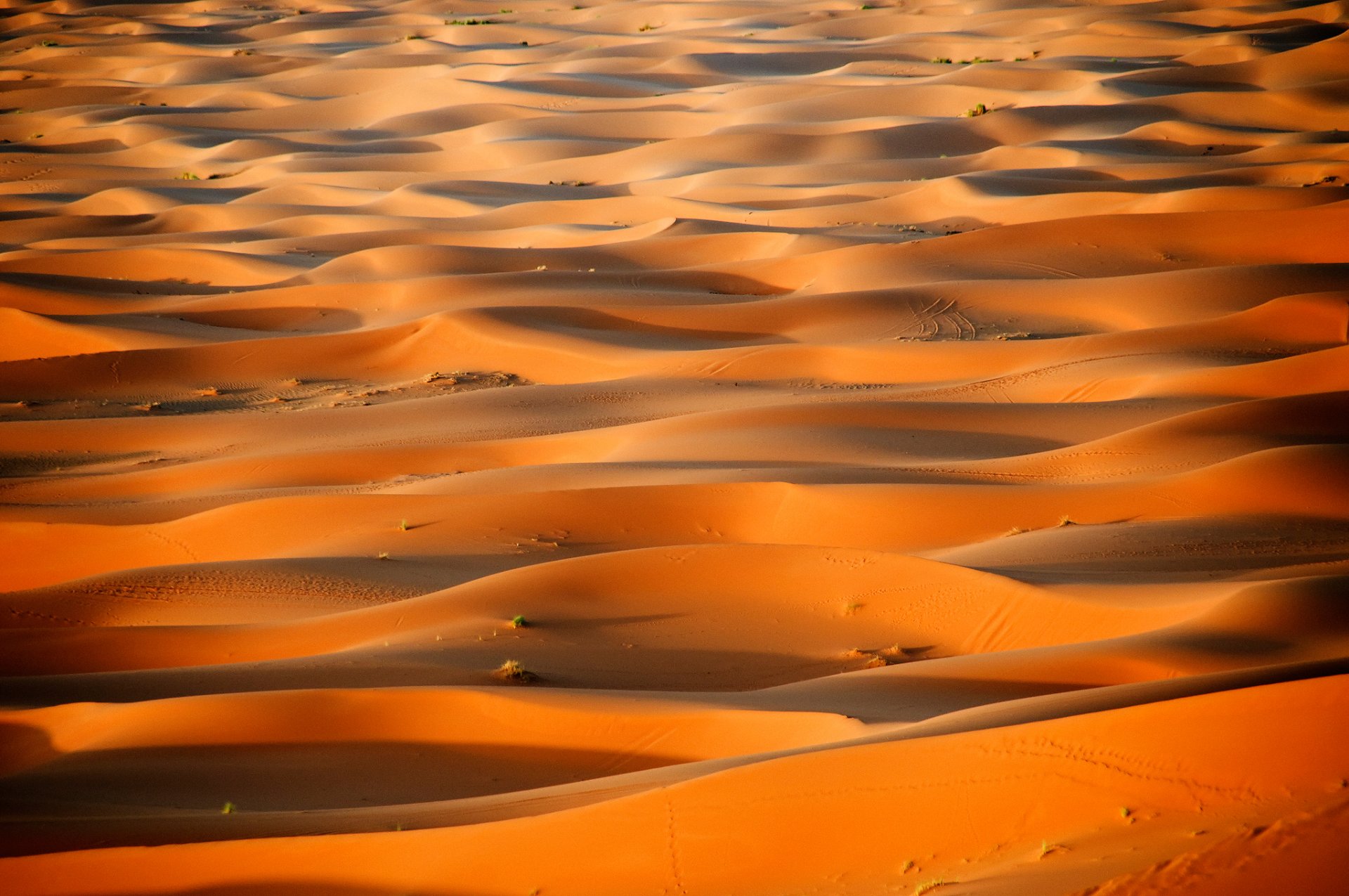 áfrica marruecos desierto sahara dunas