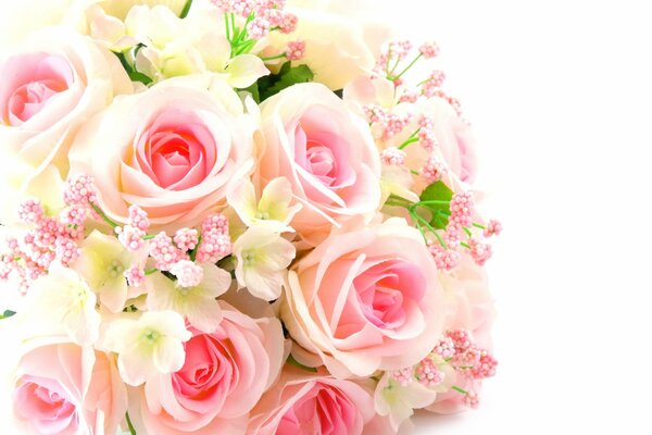 PASA A OTRO ESTAS ROSAS