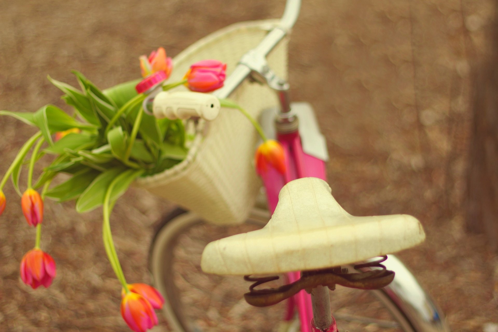 bicicleta flores ramo tulipanes