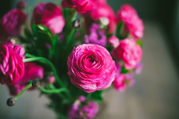 Ramo de rosas rosas brillantes