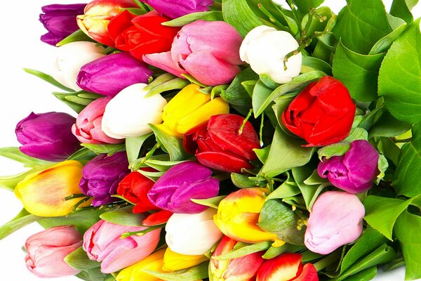 Tulipanes coloridos y brillantes en un ramo