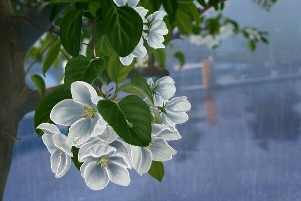 Arte dibujo flores blancas en madera