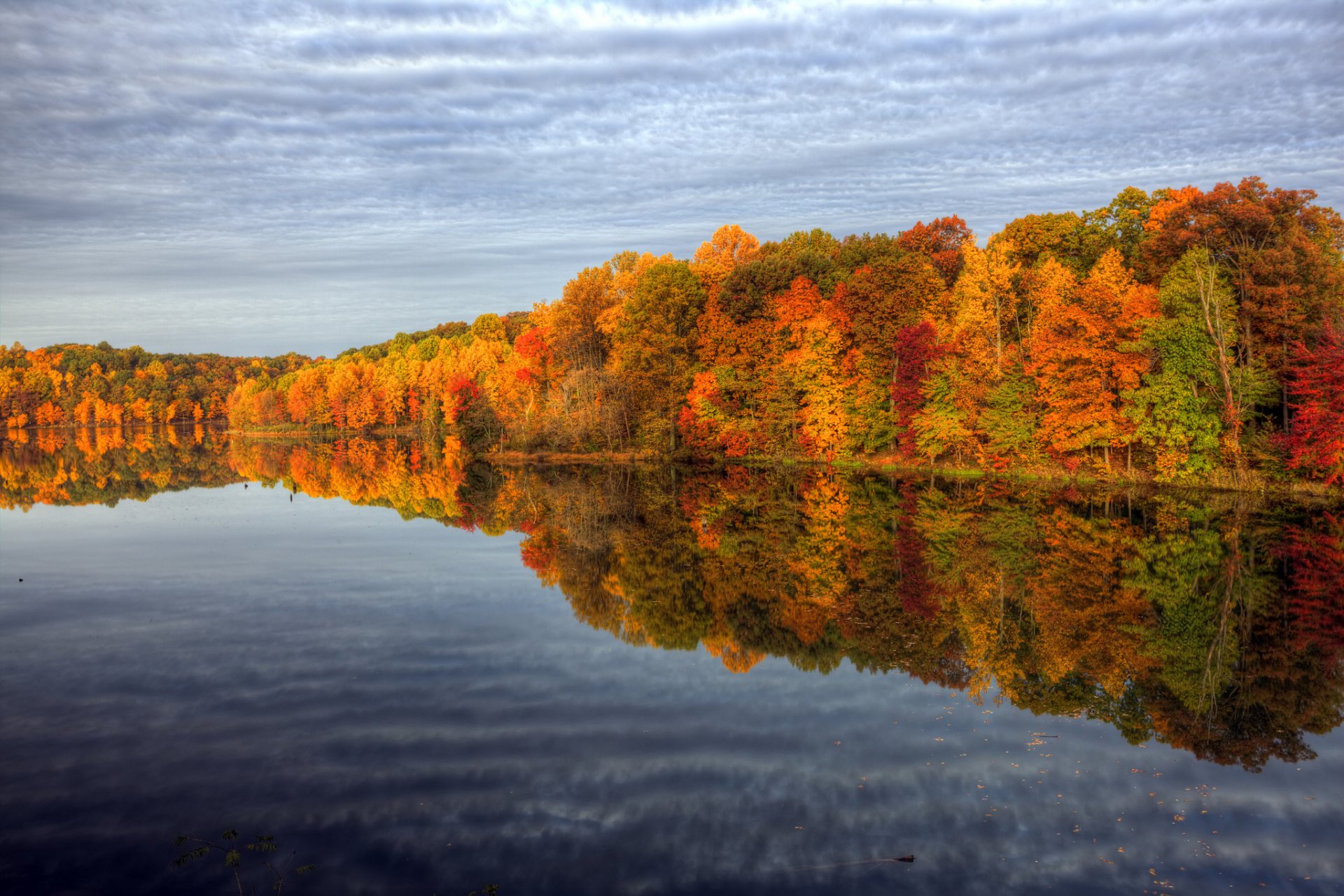 naturaleza otoño pinturas agua árboles cielo reflejos