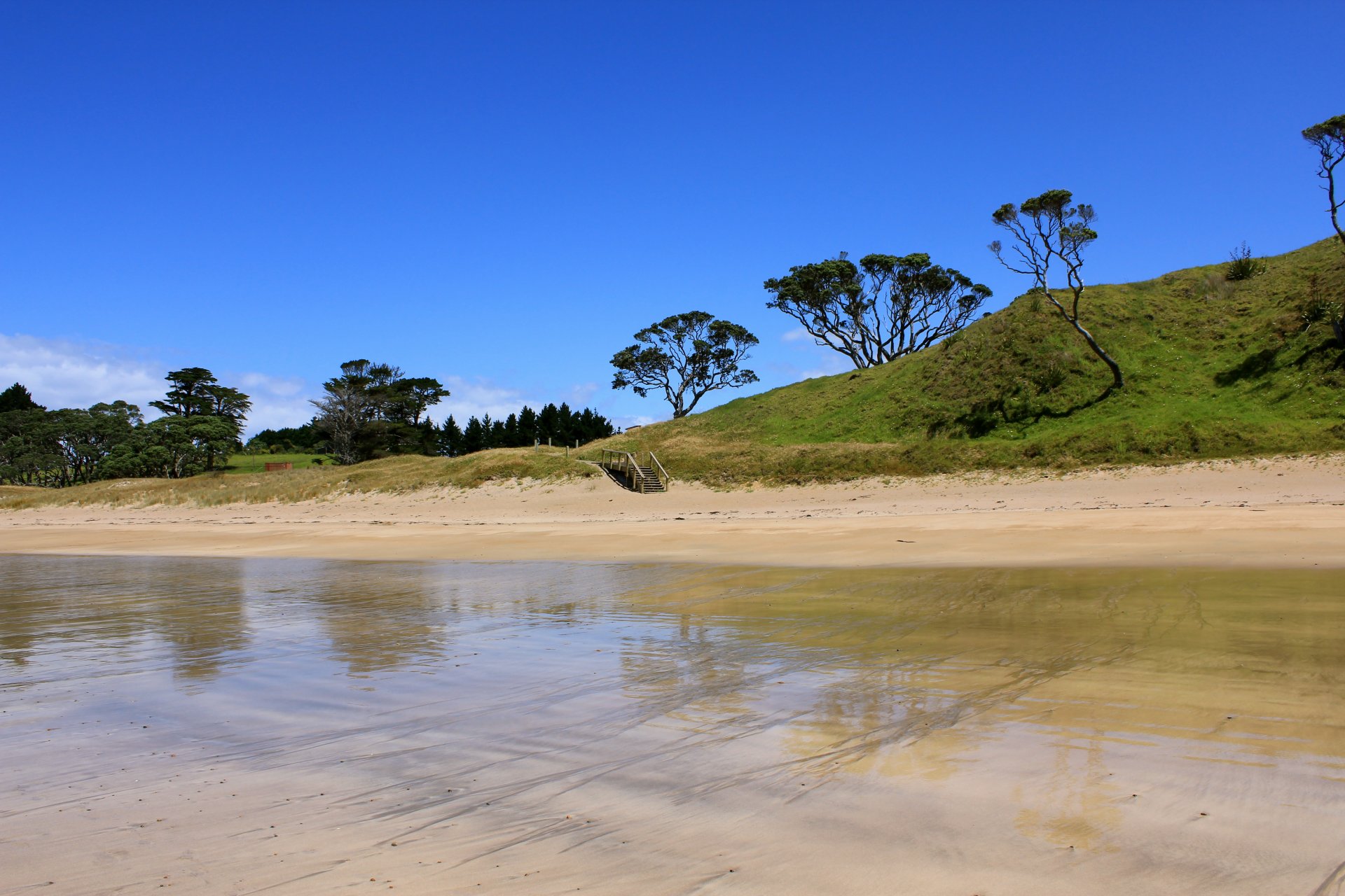 orilla río lago agua árboles varado soleado escalera escalones