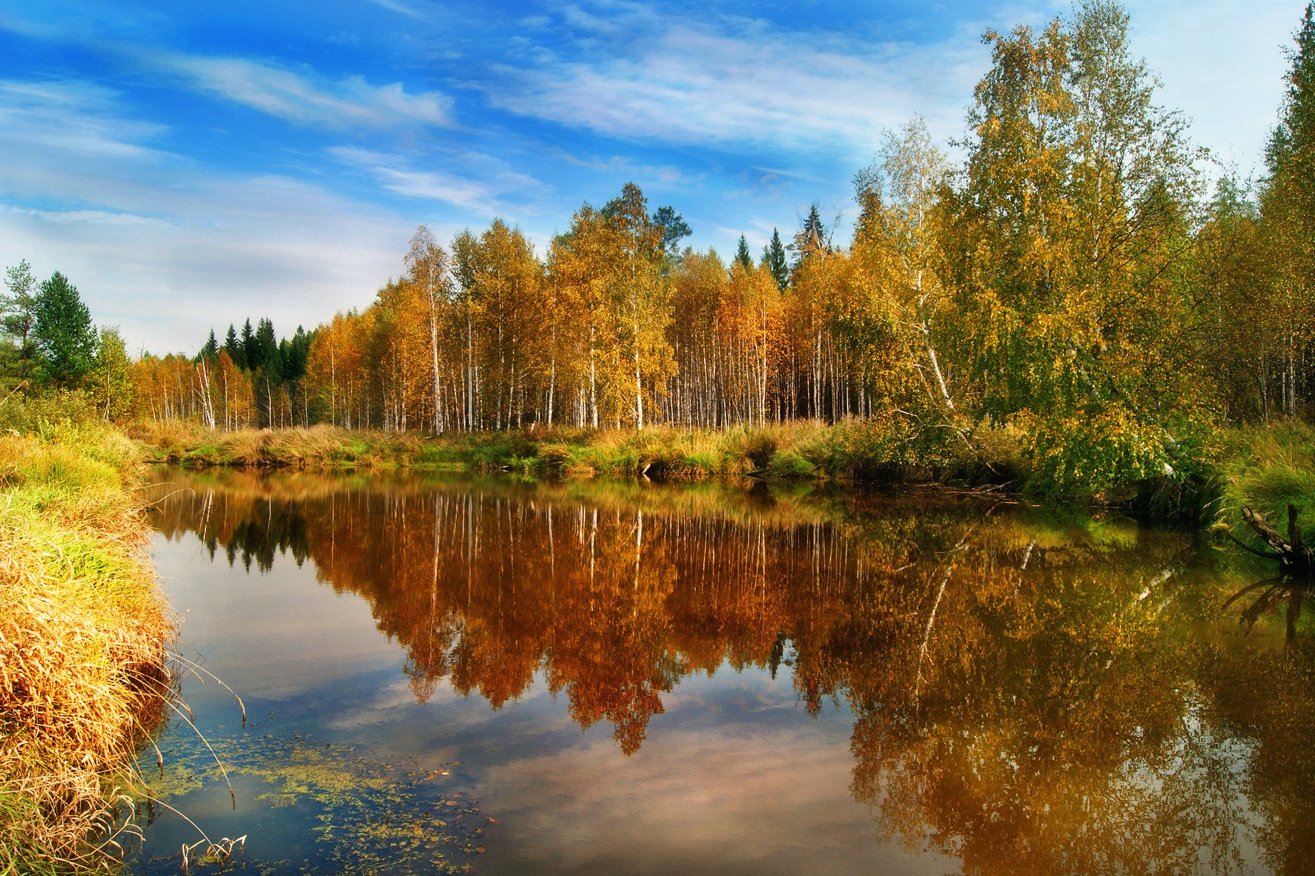 naturaleza bosque otoño agua reflexiones