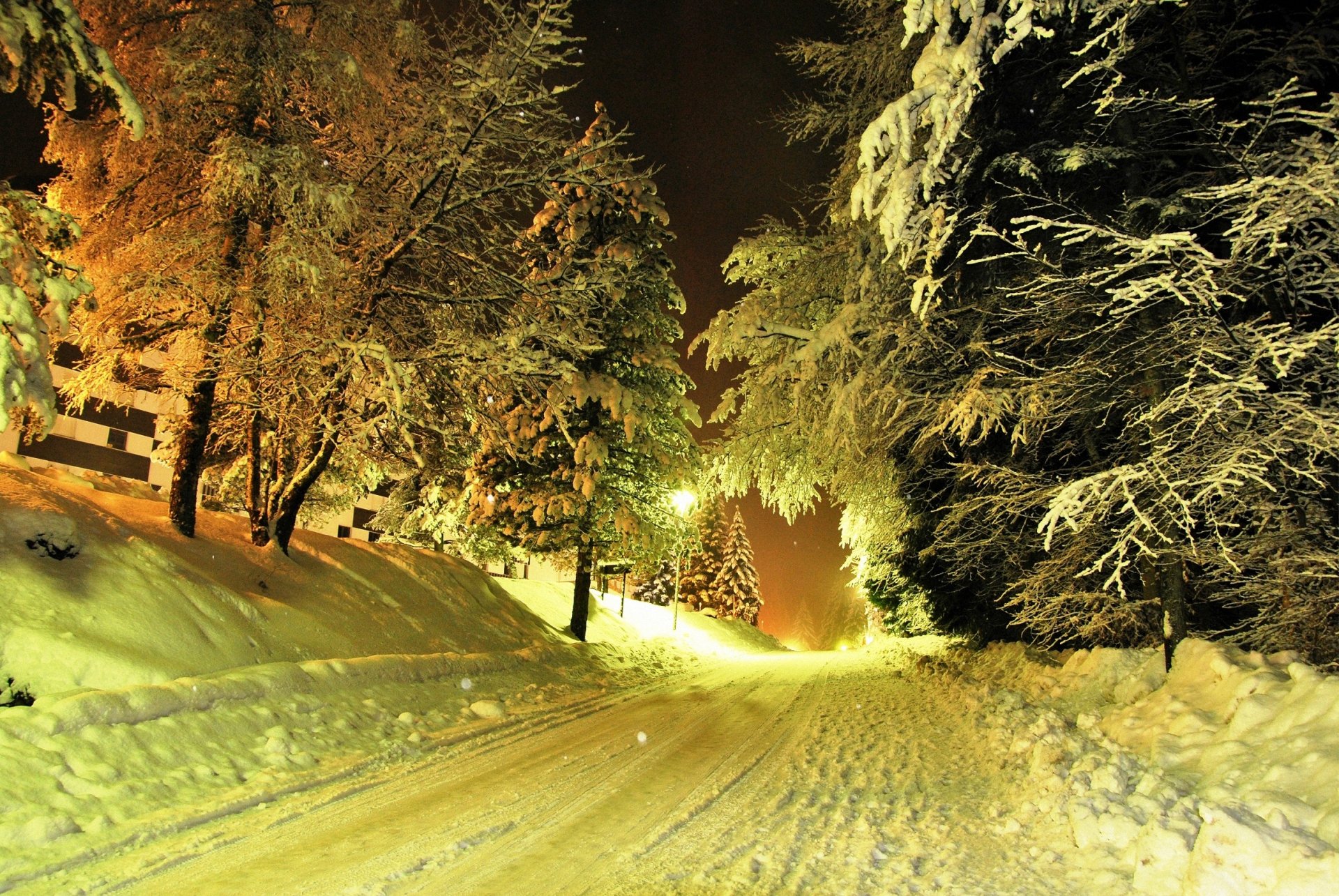 invierno carretera nieve árboles linternas