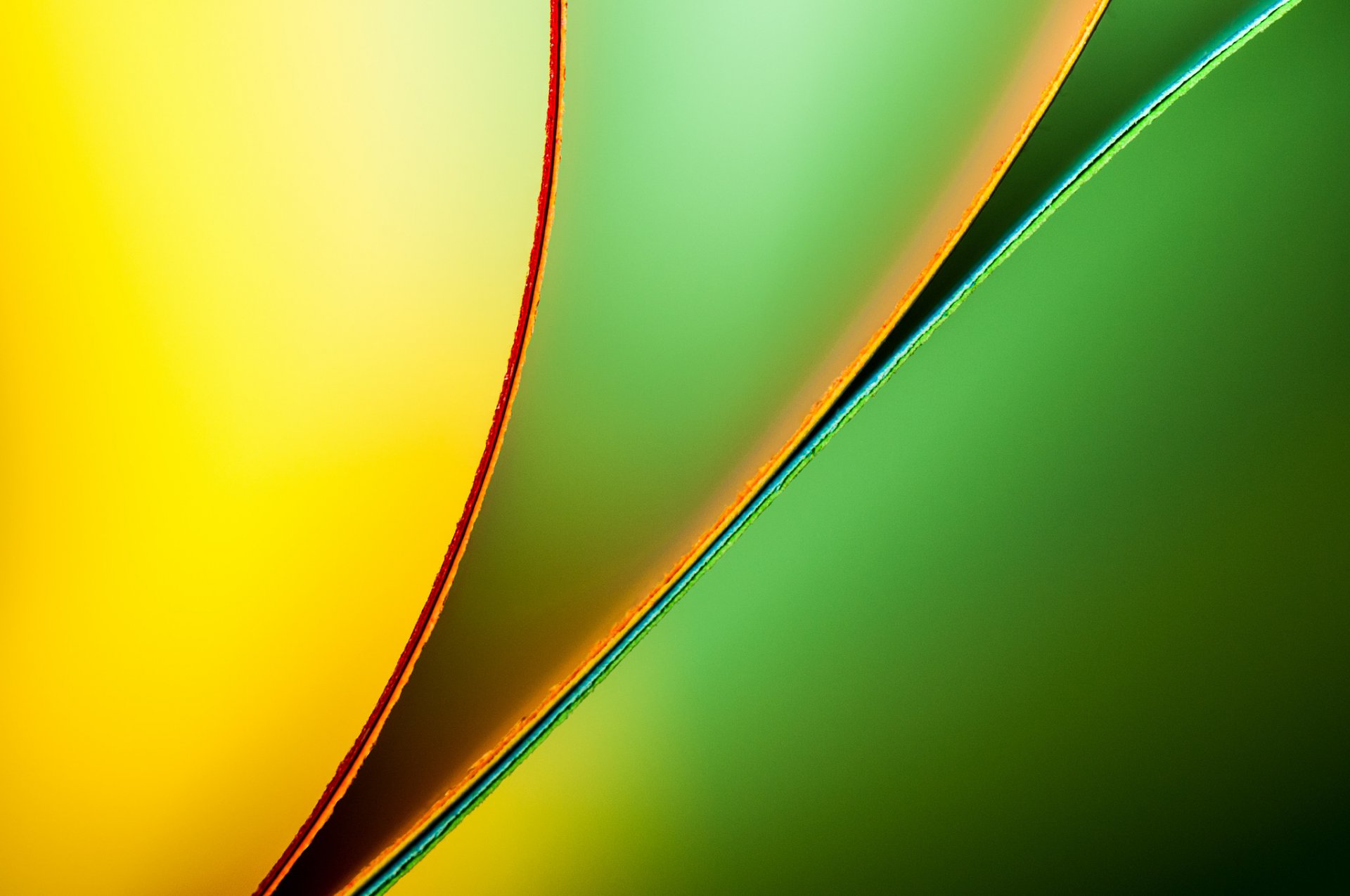 papel hoja curva color macro