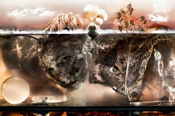 Lo que esconde el agua del acuario