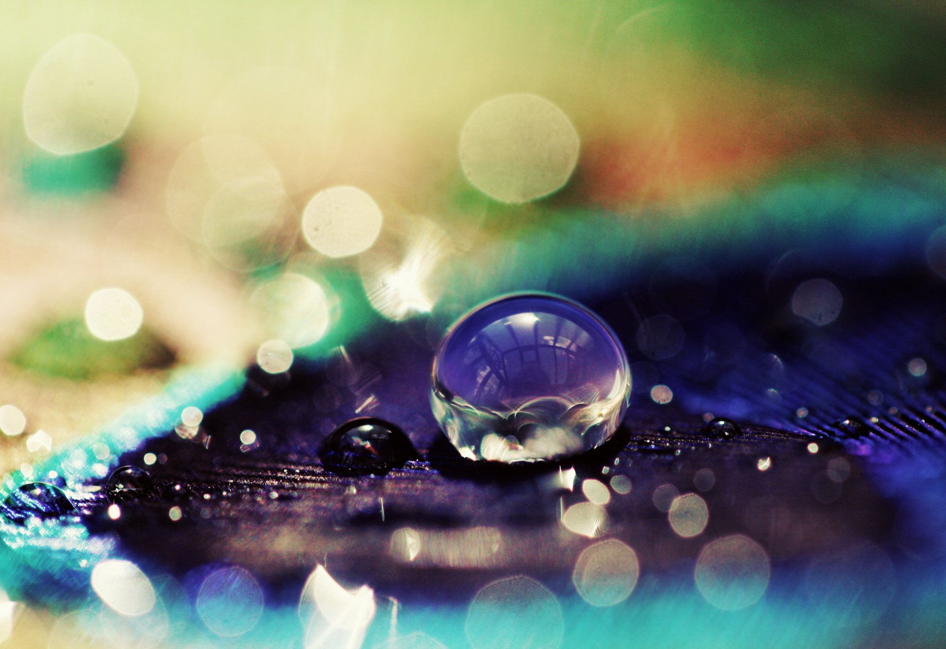 macro gota gotas lentejuelas bokeh púrpura cian fondo papel pintado pantalla ancha pantalla completa pantalla ancha pantalla ancha