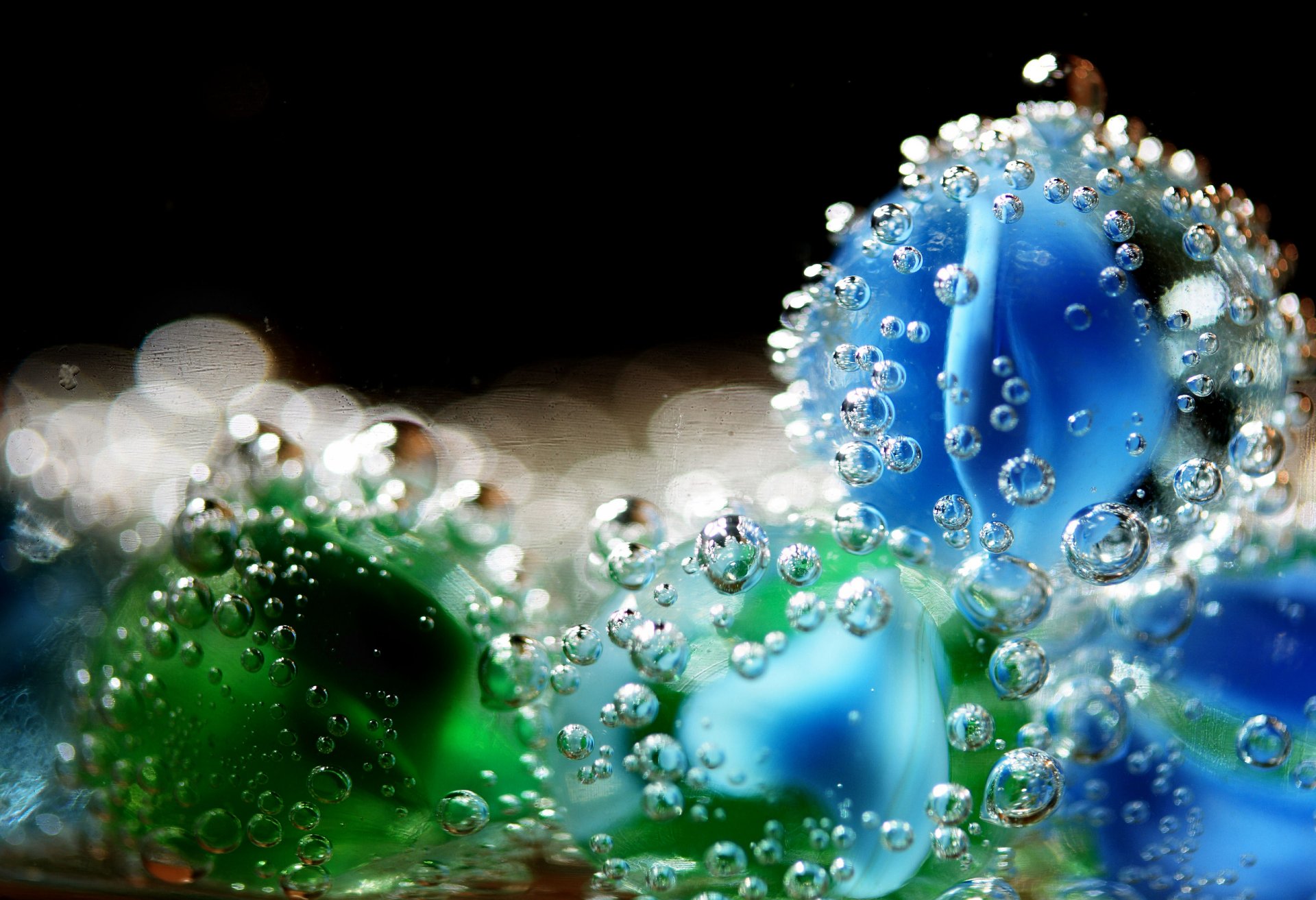 macro gotas flor gotas