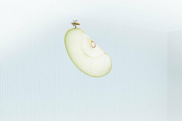 Una abeja en un trozo de manzana verde
